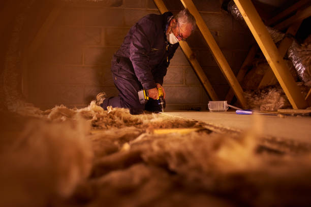 Best Basement Insulation  in Goose Creek, SC